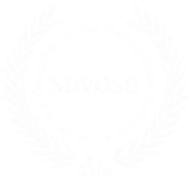  Service-Disabled Veteran-Owned Small Business (SDVOSB)